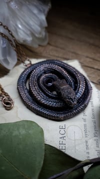 Image 3 of Snake Skeleton Amulet