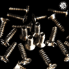 Slick Screws for Stripped Dynamic Trucks