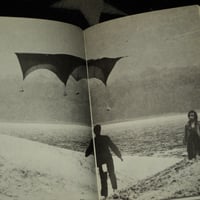 Image 6 of Pastoral To Die In The Country • Grass Labyrinth [Terayama]