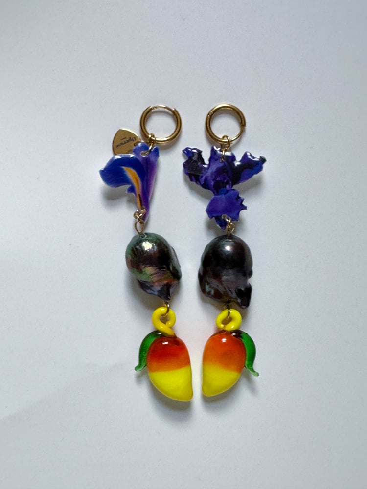 Image of harlequin mango earrings