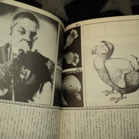 Image 8 of Fool's Mate No. 55
