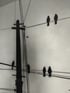 Birds on Telephone Wires Image 5