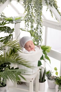 Image 12 of Boy's Newborn Session  