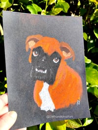 Image 4 of Custom Soft Pastel Boxer Portrait