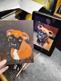 Image 3 of Custom Soft Pastel Boxer Portrait