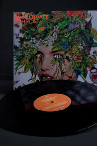 Image 3 of DECULTIVATE - Pohrdat (Vinyl) 12"