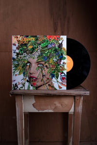 Image 5 of DECULTIVATE - Pohrdat (Vinyl) 12"