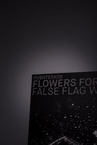 Image 5 of FFW - False Flag World (Black) 12"