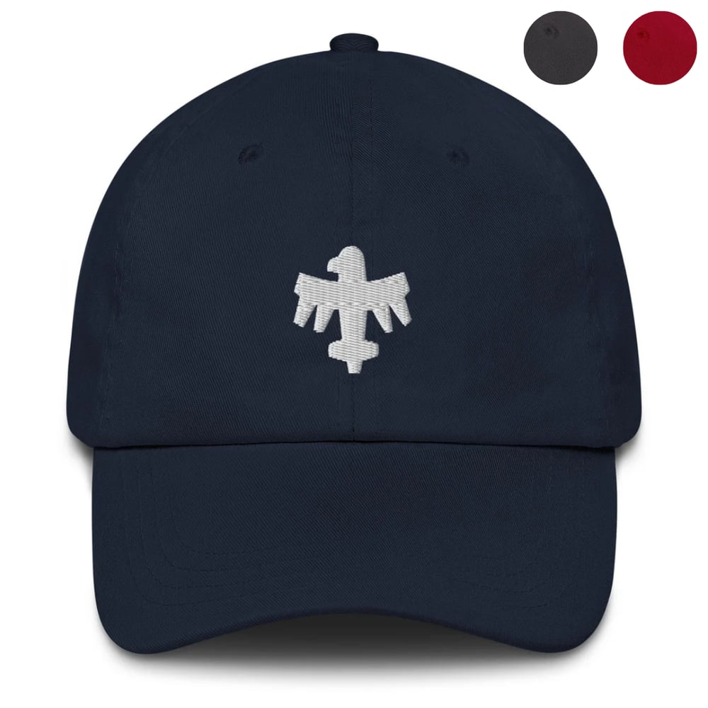 Image of UCF 🐝 🐞 🐛 Embroidered Cap