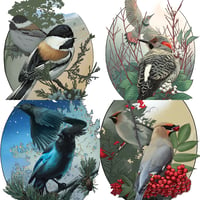 Image of Set of 4 Bird Prints