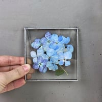 Image 1 of Miniature hydrangea stained glass frame