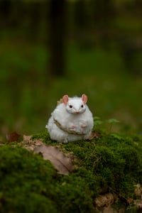 Image 4 of Kodama Nezumi artdoll