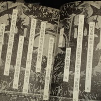Image 12 of Ship Of Fools - Tenjo Sajiki in Iran [Terayama]