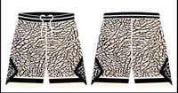 Image 1 of Elephant print short 