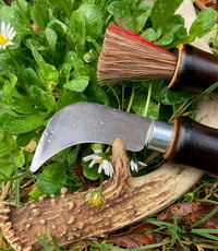 Image 2 of Mushroom Foraging Knife (Burnt Fade Design)