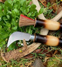 Image 3 of Mushroom Foraging Knife (Burnt Fade Design)