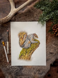 Image 1 of Original Squirrel Illustration