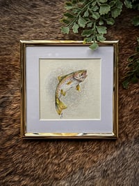 Original Framed Rainbow Trout Illustration