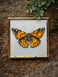 Original Framed Painted Lady Butterfly Illustration