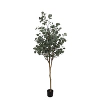 Image 1 of NEW SEASON - EUCALYPTUS TREE (175CM)