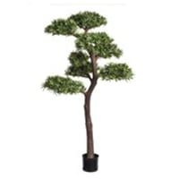 Image 1 of COMING SOON - NEW SEASON - FLOOR STANDING BONSAI TREE