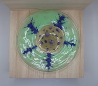 Image 1 of Amoeba Dish
