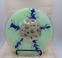 Image 2 of Amoeba Dish