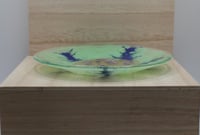 Image 3 of Amoeba Dish