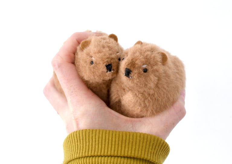 ROCK HYRAX Image 3