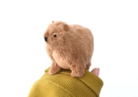 Image 2 of ROCK HYRAX