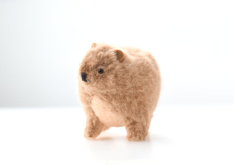 ROCK HYRAX Image 4
