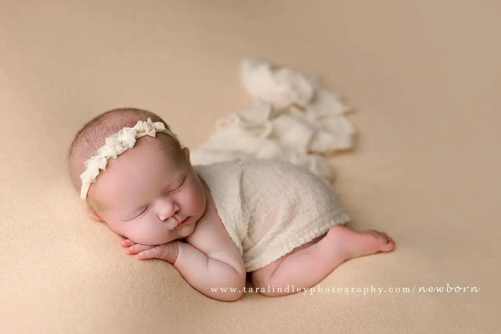 Image of Chloe thick knit beanbag backdrop in Butterscotch