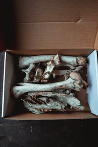 Image 1 of Misc Bone Box