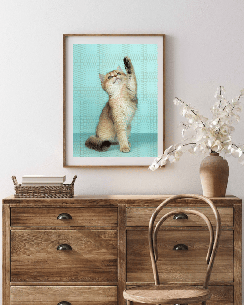 Image of Unique Gift for Cat Lovers