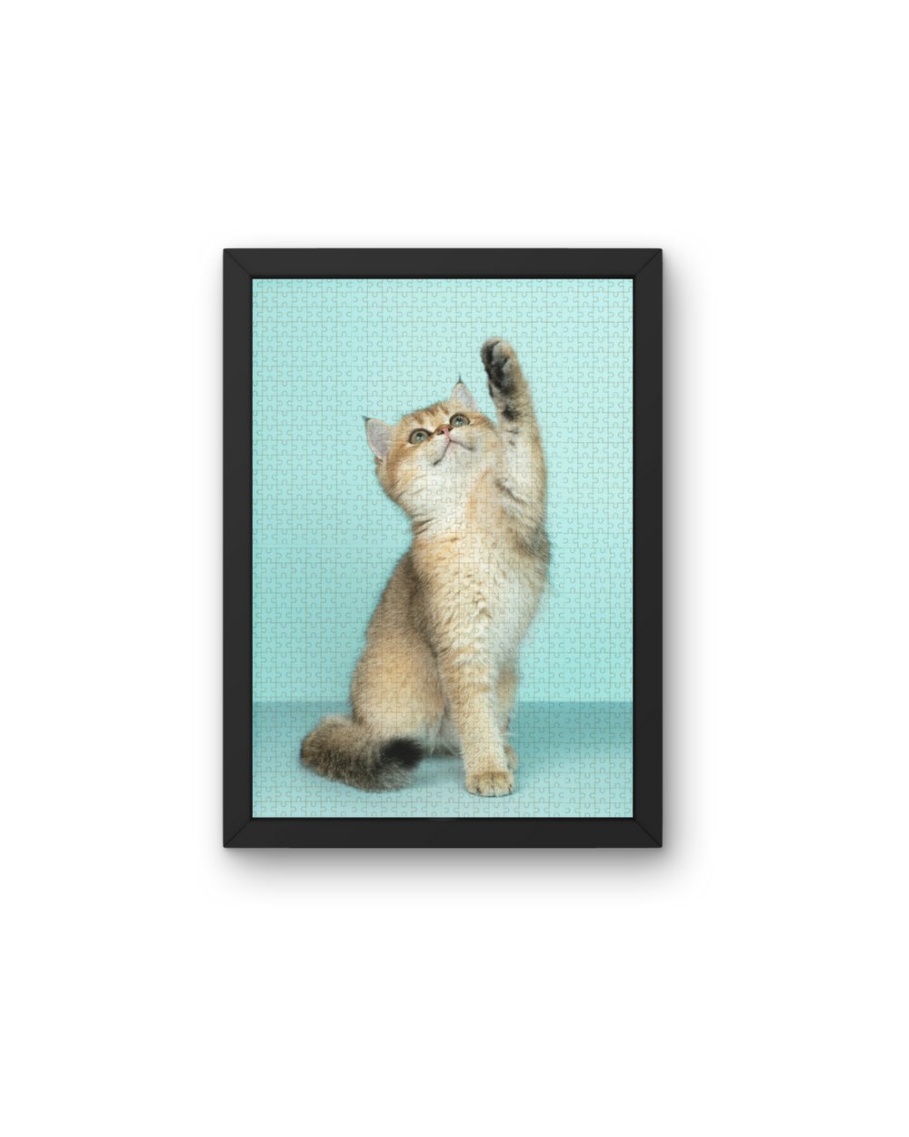 Image of Unique Gift for Cat Lovers