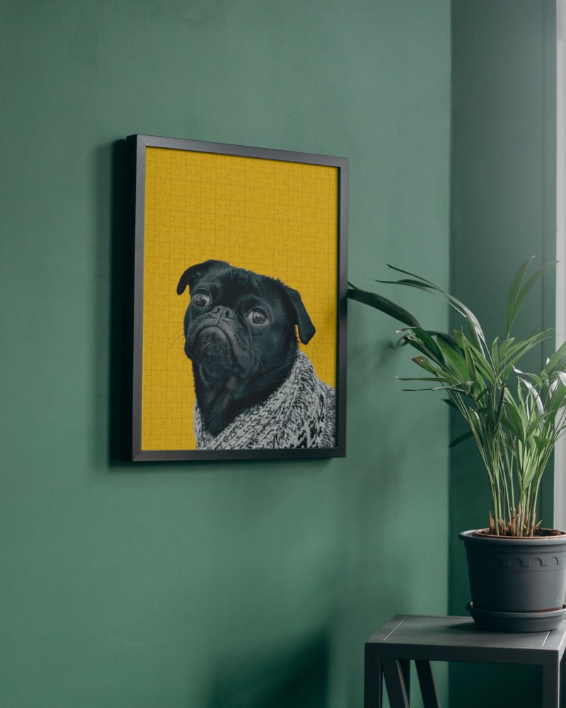 Image of Perfect for Dog Lovers