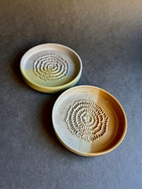 Image 3 of Gratte ail | gingembre