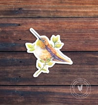 Image 1 of Rufous Hummingbird | Vinyl Sticker