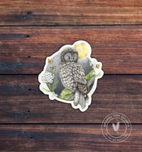 Western Screech Owl | Vinyl Sticker