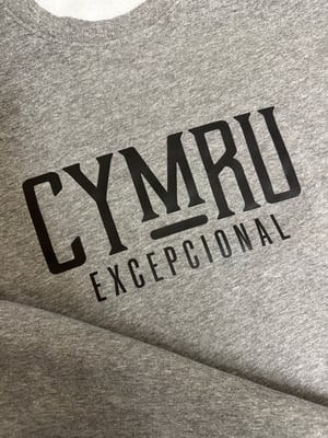 Image of CYMRU EXEPCIONAL  Authentic Sweatshirt in Heather Grey 