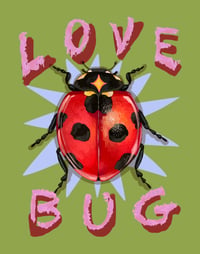 Love Bug Postcard 