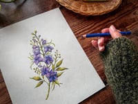 Image 2 of Original Larkspur Illustration