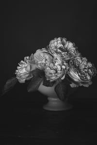 Crown Princess Margareta in Black and White