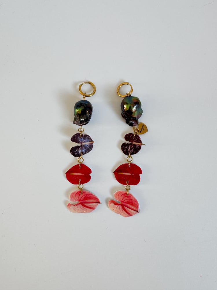 Image of tricolour anthurium earrings