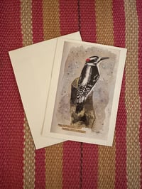 Image 1 of Greeting Cards: Downy Woodpecker (5x7)