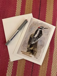 Image 2 of Greeting Cards: Downy Woodpecker (5x7)