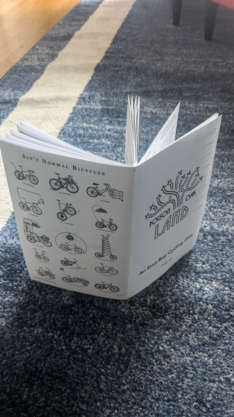 The Poison Oak Land Zine (Issue #1) | Visto ▽