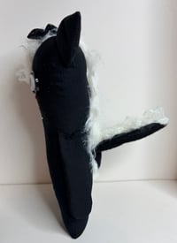 Image 3 of RagPop Rotty