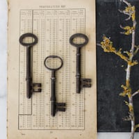 Image 1 of One Skeleton Key