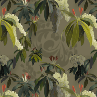 Image 3 of Gift Wrap